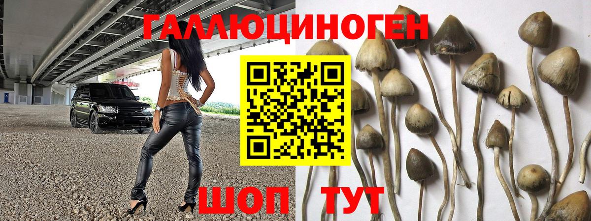 Галлюциногенные грибы MAGIC MUSHROOMS Михайловск