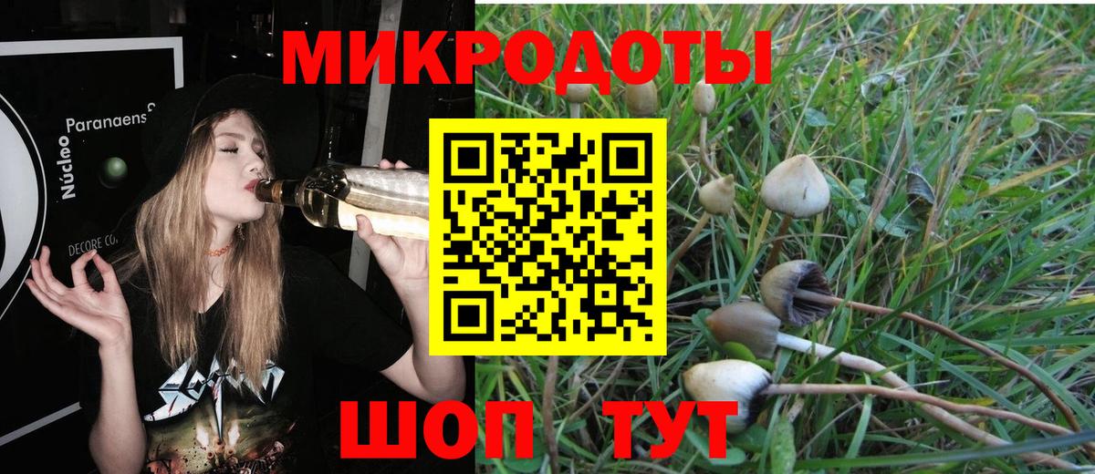 Михайловск  Псилоцибиновые грибы мухоморы  Вход с VPN 